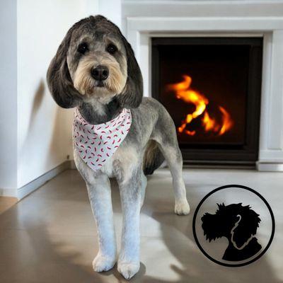 All Breed and Mixed Breed Grooming!