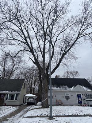 Paradise Tree Service