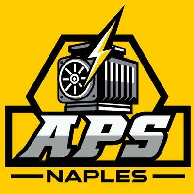 Adonis Professional Services