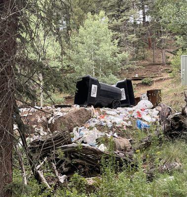 apex waste solutions