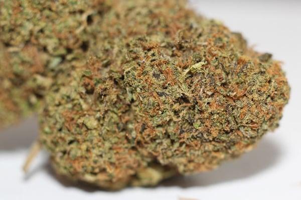 Natures Breath Collective