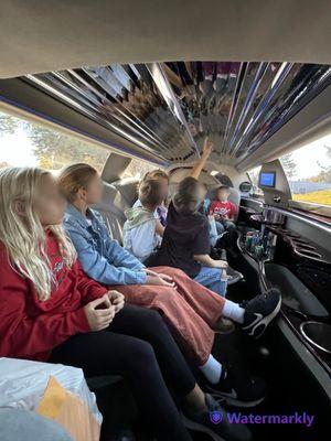 Regal Limousine Service