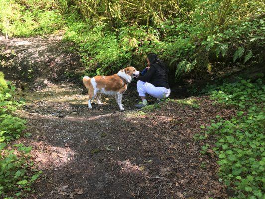 Japanese Gulch Trails and Dog Park