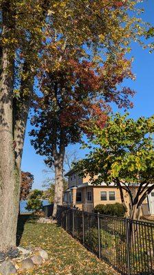 R & J Ozuna's Tree Service