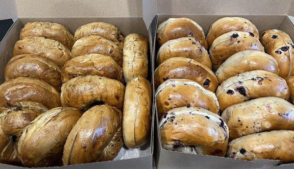 Cinnamon raisin & blueberry