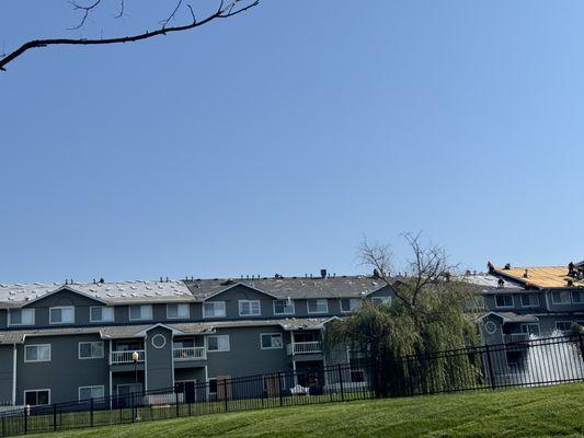 Chosen Legacy Restoration