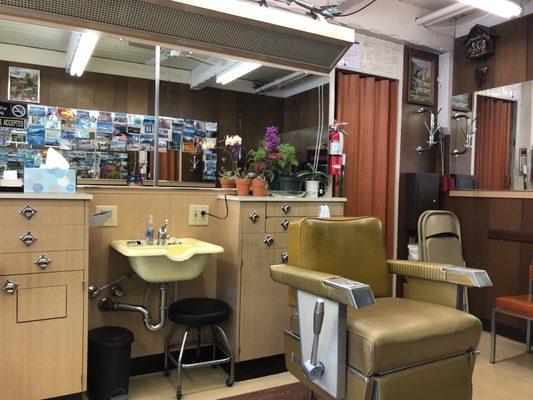 Neat and Choi is nice lady , good hair cut place for San leandto