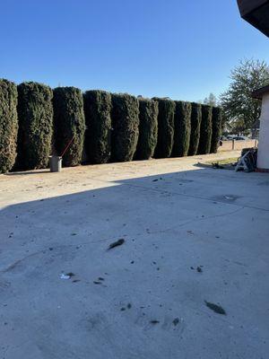 Lomeli’s Landscaping