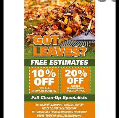 Big State Professional Service