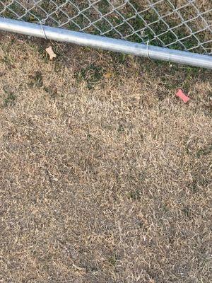 Murfin Animal Care Campus