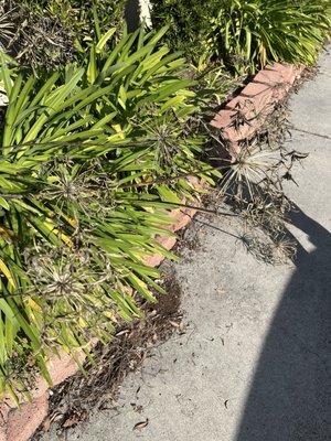 Laguna Woods City Hall