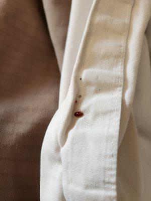 Mountain Trail Lodge