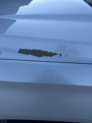 Mid-Tex Paint & Body