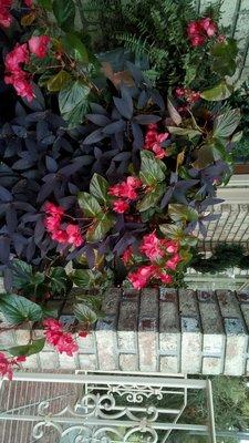 Go away winter...please hurry spring.