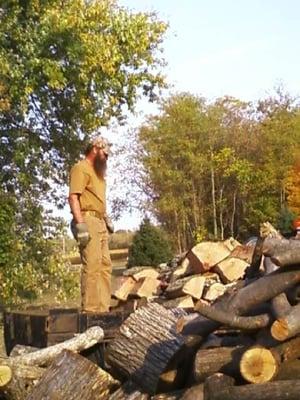 Crosscut Saw Tree Company