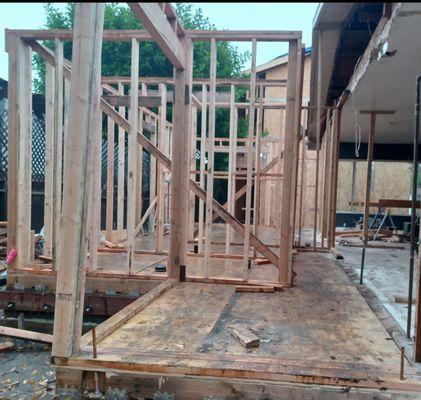 Extensive Building Constructions