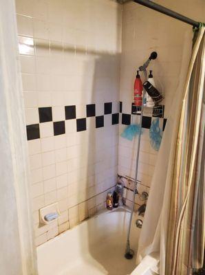 Before original shower wall