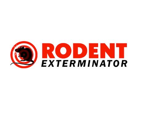Rodent Exterminator Control