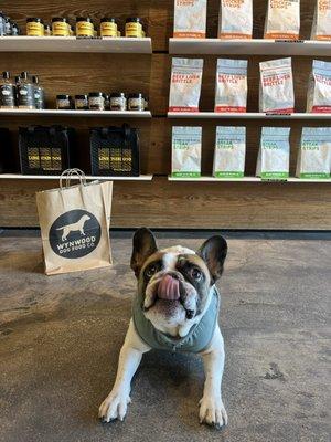 Wynwood Dog Food Co