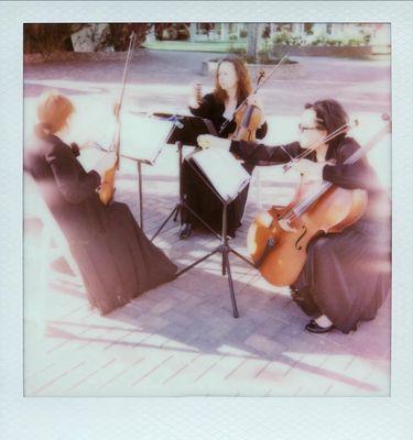 Vegas Valley Entertainment