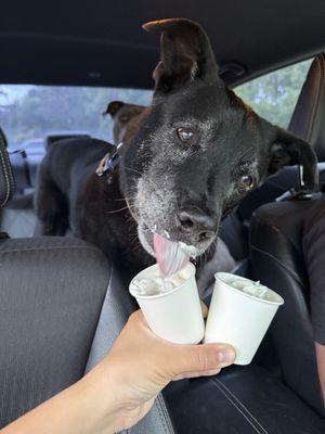 Pups cups!