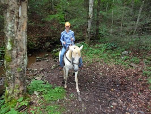 Rocky Hollow Horse Camp