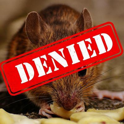 Tamalpais Rodent Solutions