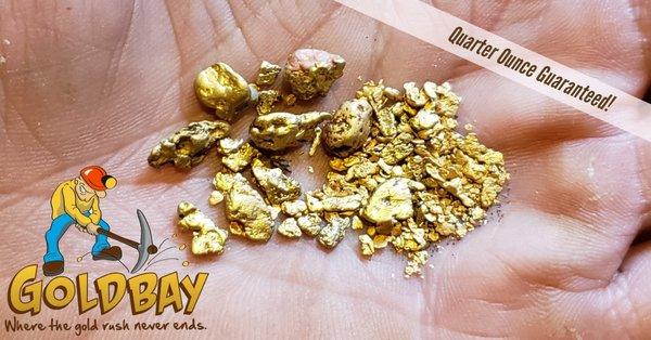 Bear's Archery Guns & Prospecting