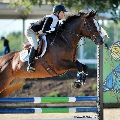 Razor Creek Stables