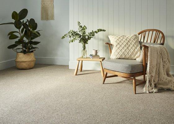 Find the perfect carpet to cozy up your home.