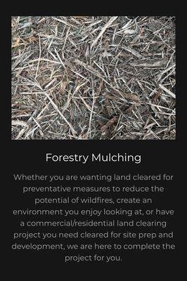 Colt Timberline Land Management