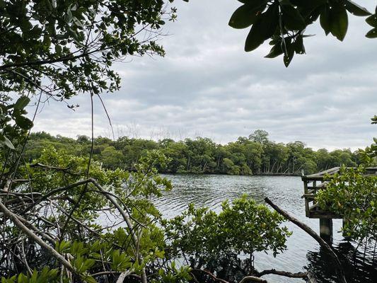 East Greynolds Dog Park