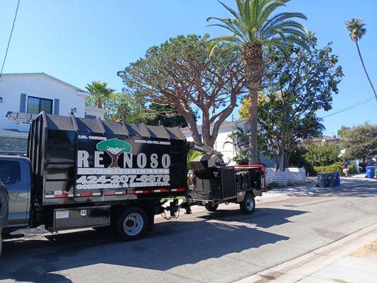 Reynoso Tree Service LLC