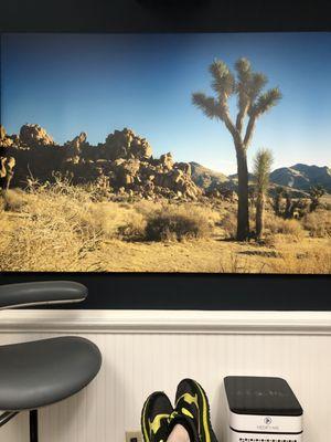 Fresh Smile Seattle Dental Care