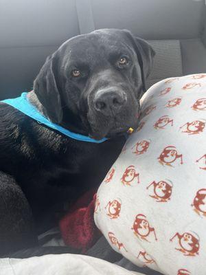 Johnsons Auto Repair