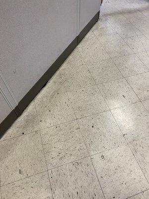 Ummm eww ever heard of a mop?