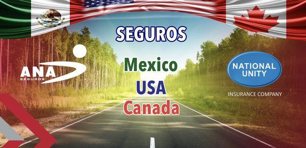 Palms Mexico Insurance