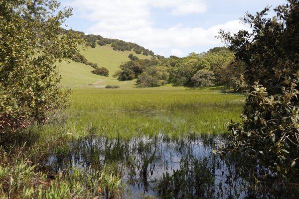 Mt. Burdell Open Space Preserve