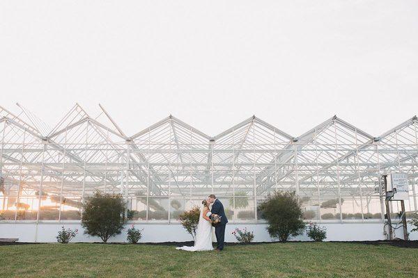 Dutch Mill Greenhouse