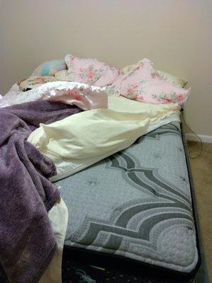 Mattress By Appointment