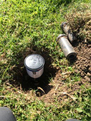 Sjn Gardening And Landscaping