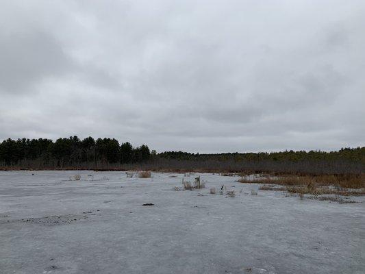 Mass Audubon - Stony Brook
