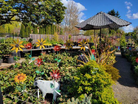 French Prairie Perennials