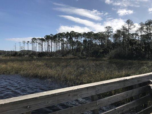 Dutton Island Preserve