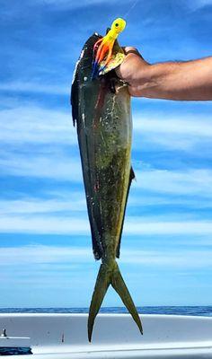 Apex Predator Sportfishing