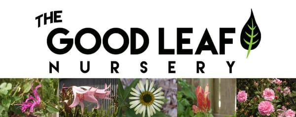 The Good Leaf Nursery