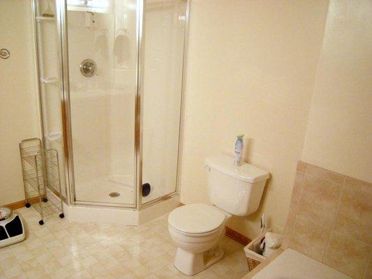 Before: The shower isn't usable, and there is no room for storage in the bathroom.