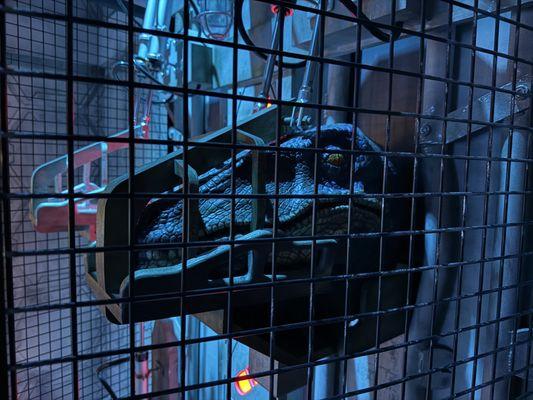 Mind Trap Escape Rooms