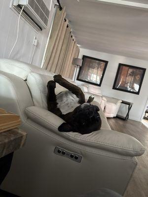 Southeast Animal Clinic