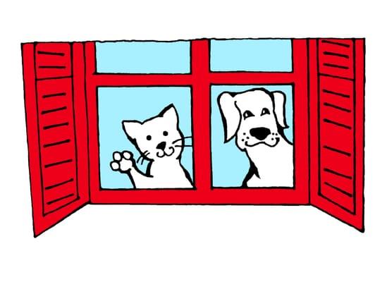 Comforts Of Home Pet Sitting LLC